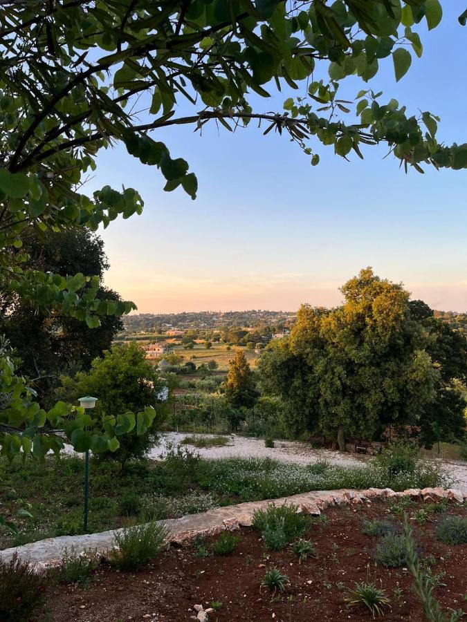 로코로톤도 Il Trullo Di Simona B&B 외부 사진