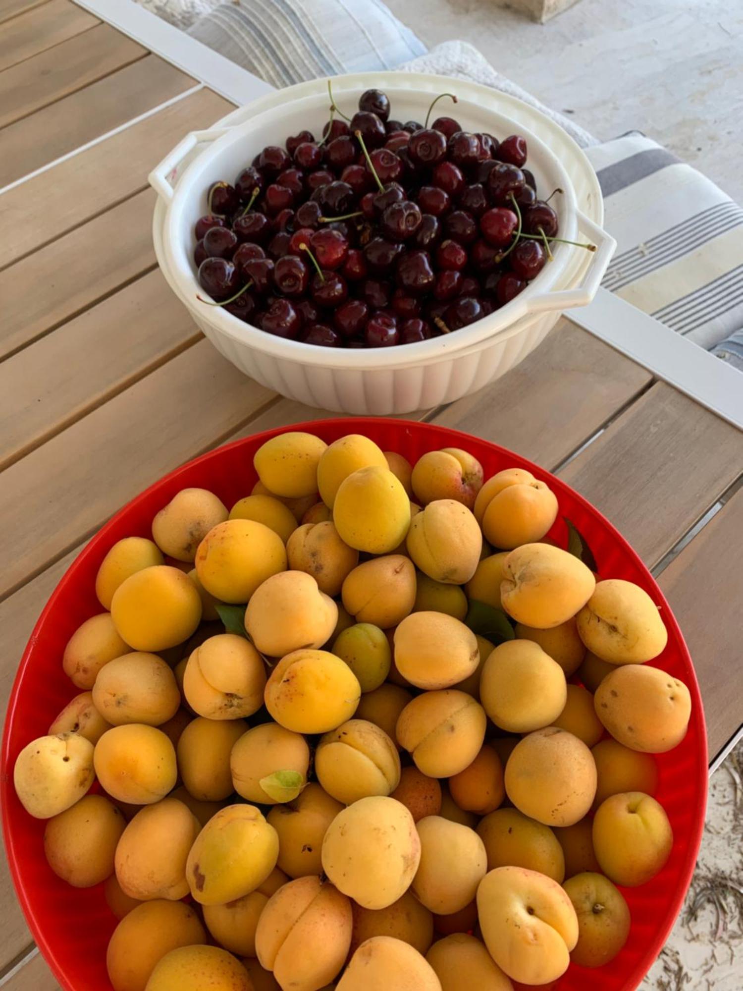 로코로톤도 Il Trullo Di Simona B&B 외부 사진