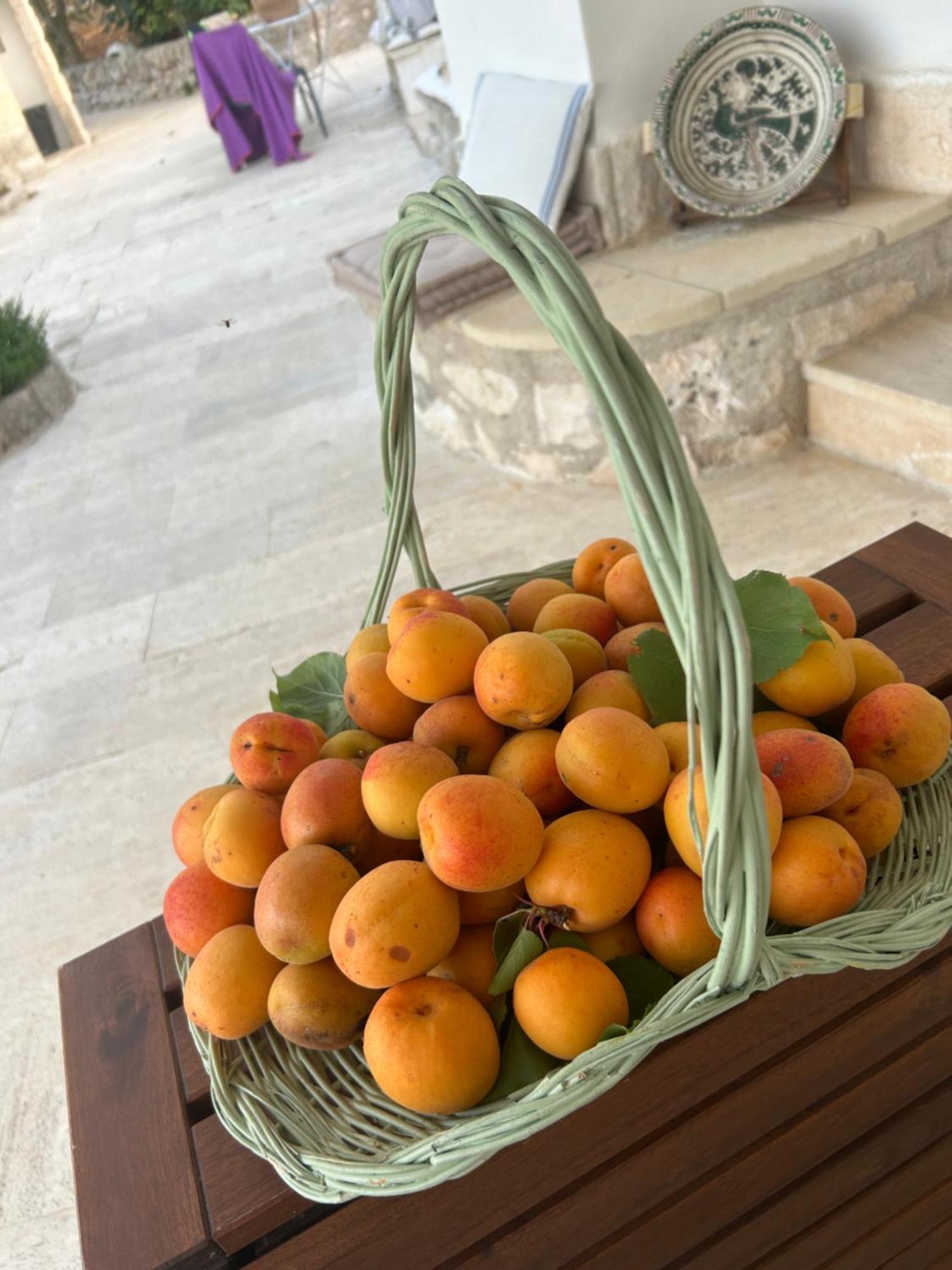 로코로톤도 Il Trullo Di Simona B&B 외부 사진