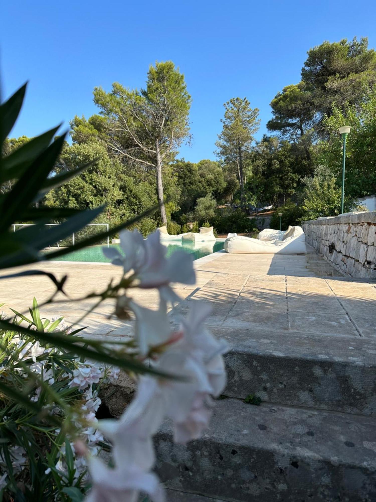 로코로톤도 Il Trullo Di Simona B&B 외부 사진