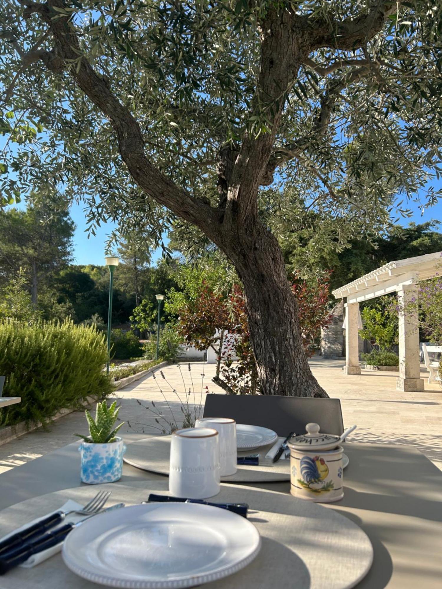 로코로톤도 Il Trullo Di Simona B&B 외부 사진