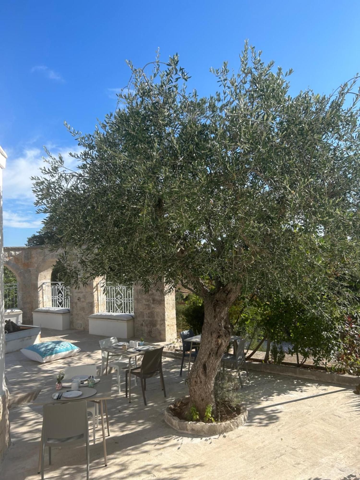 로코로톤도 Il Trullo Di Simona B&B 외부 사진