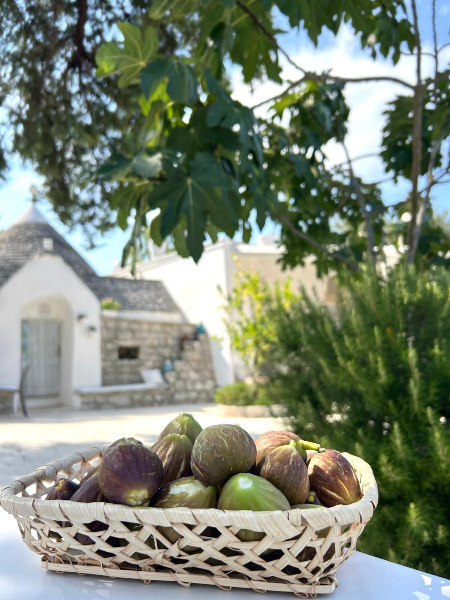 로코로톤도 Il Trullo Di Simona B&B 외부 사진