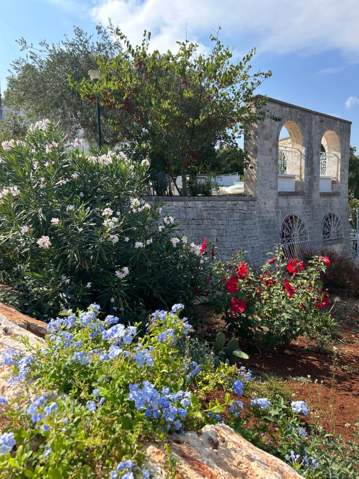 로코로톤도 Il Trullo Di Simona B&B 외부 사진