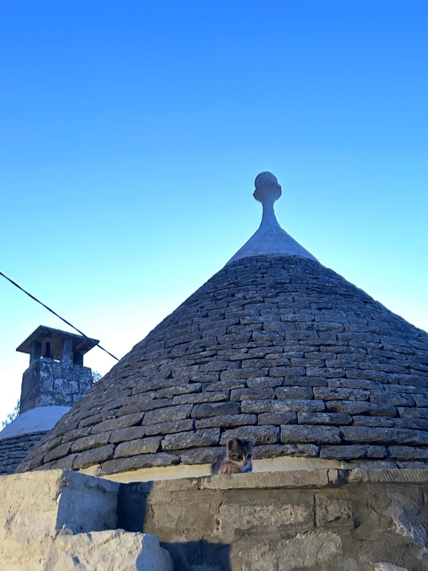로코로톤도 Il Trullo Di Simona B&B 외부 사진